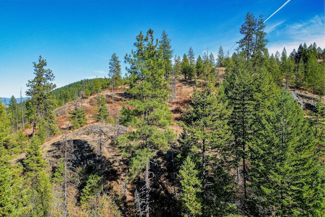 3401 Red Marble Rd, Chewelah, WA 99109