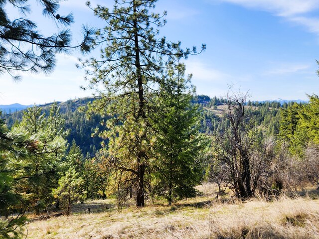 4021 Bissell Rd, Hunters, WA 99137