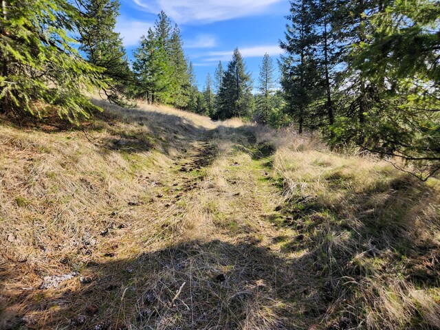 4021 Bissell Rd, Hunters, WA 99137