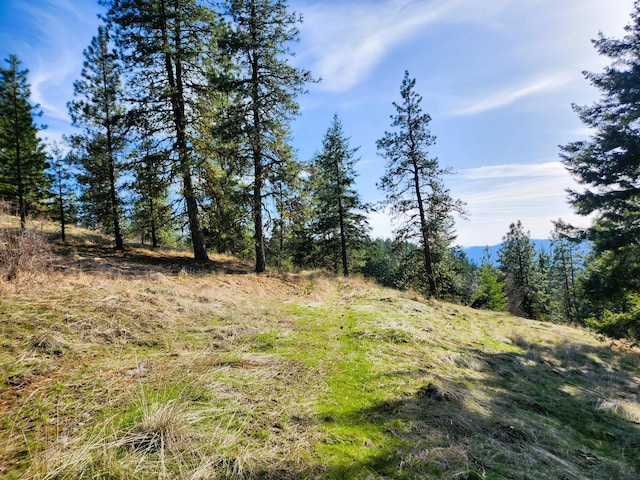 4021 Bissell Rd, Hunters, WA 99137
