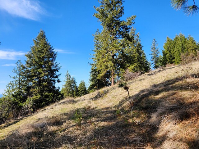 4021 Bissell Rd, Hunters, WA 99137