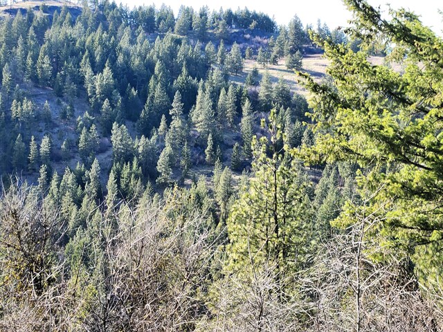 4021 Bissell Rd, Hunters, WA 99137