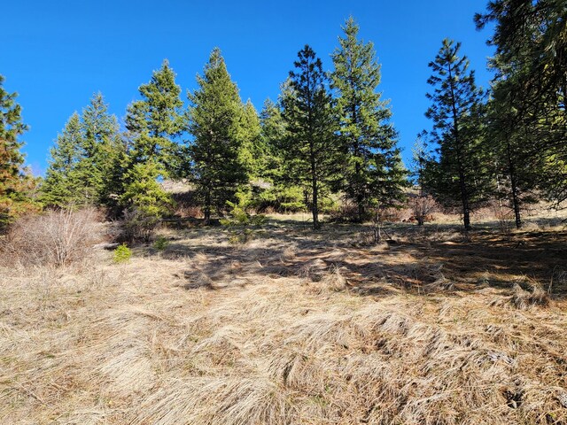 4021 Bissell Rd, Hunters, WA 99137