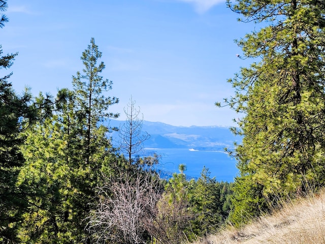 4021 Bissell Rd, Hunters, WA 99137