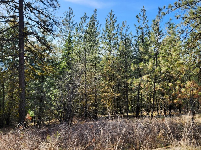 4021 Bissell Rd, Hunters, WA 99137
