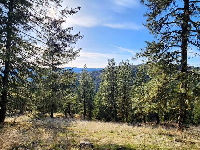4021 Bissell Rd, Hunters, WA 99137