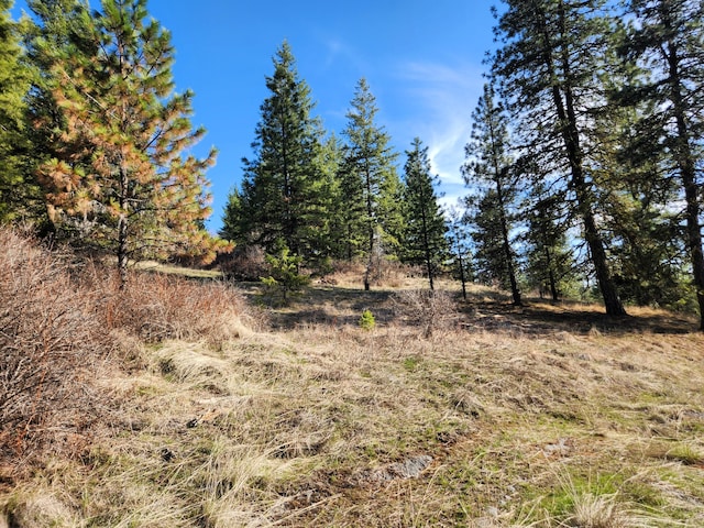 4021 Bissell Rd, Hunters, WA 99137