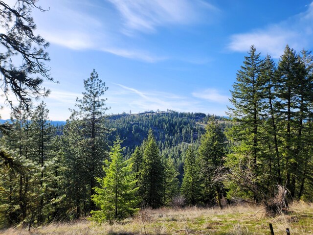 4021 Bissell Rd, Hunters, WA 99137