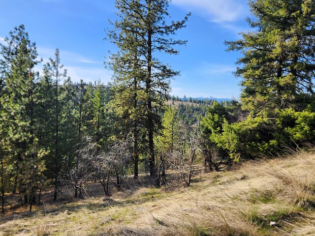 4021 Bissell Rd, Hunters, WA 99137