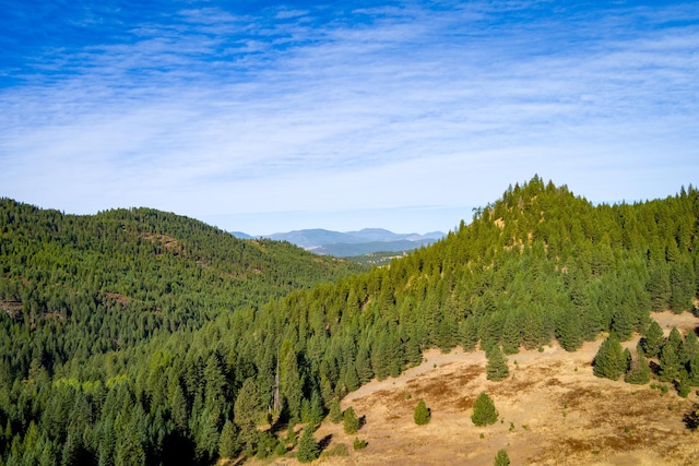 mountain view with a forest view