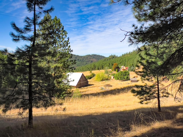 exterior space featuring a mountain view and a forest view