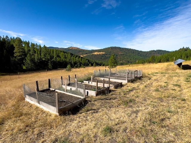 exterior space featuring a forest view, a rural view, a vegetable garden, and a mountain view