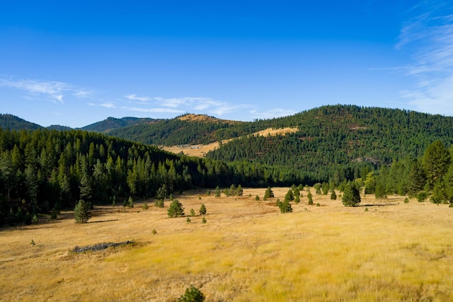 mountain view featuring a view of trees