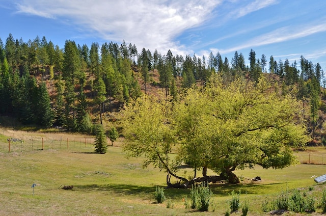 view of landscape with a view of trees