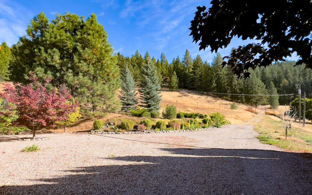 view of street featuring a wooded view