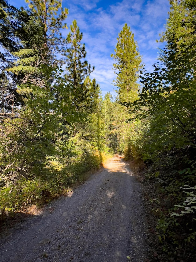 view of road featuring a view of trees