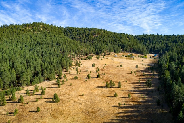 view of nature featuring a wooded view