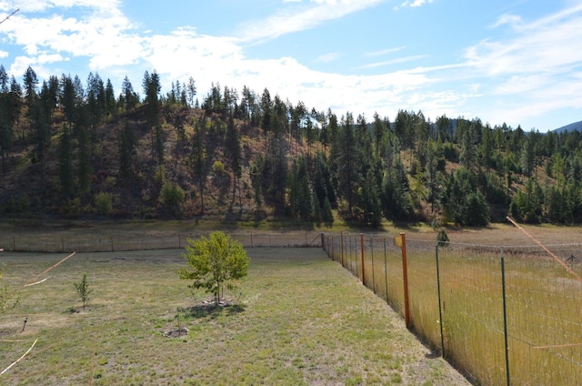 view of yard featuring a forest view, a rural view, and fence