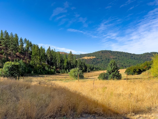 mountain view with a wooded view and a rural view