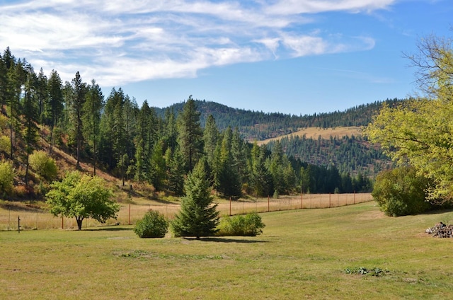 mountain view featuring a rural view and a view of trees