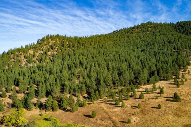 property view of mountains with a view of trees