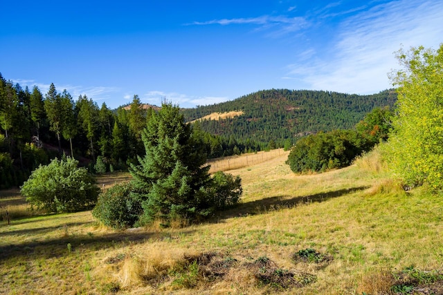 mountain view with a wooded view