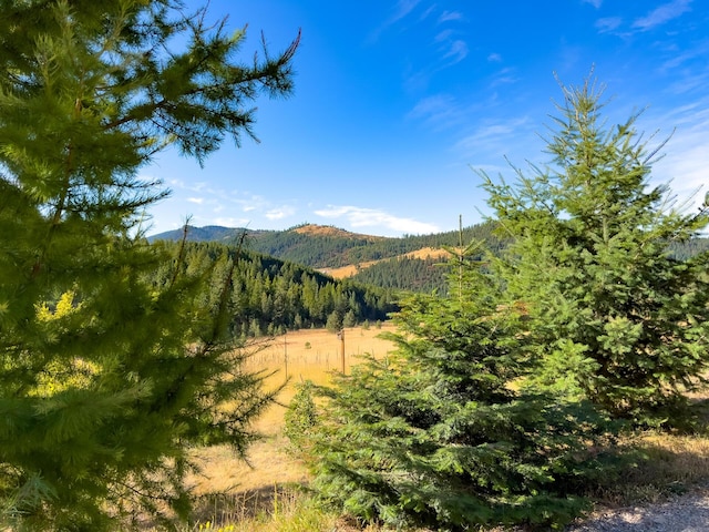 property view of mountains with a wooded view