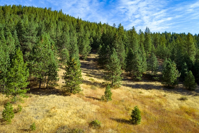 view of landscape featuring a forest view