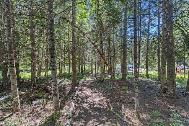 28922 Le Clerc Rd N, Ione, WA 99139 - photo 31