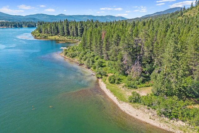 28922 Le Clerc Rd N, Ione, WA 99139 - photo 14
