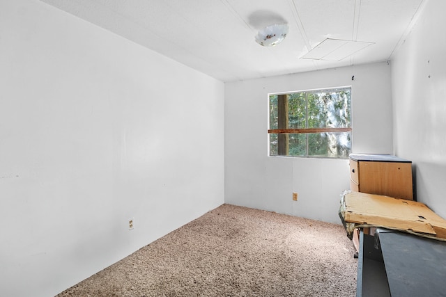 28922 Le Clerc Rd N, Ione, WA 99139 - photo 24