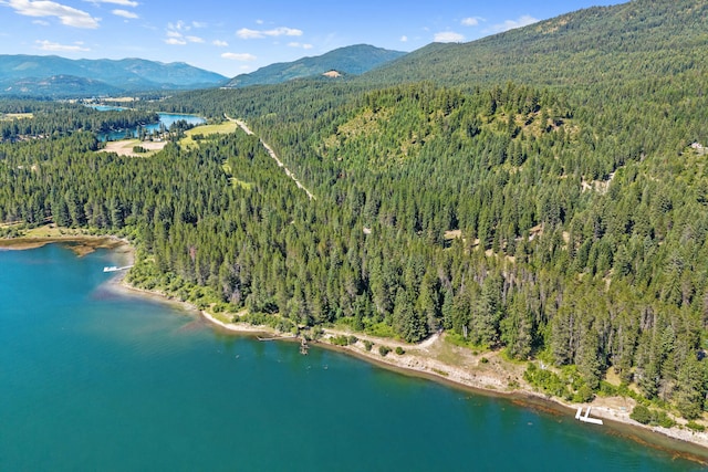 28922 Le Clerc Rd N, Ione, WA 99139 - photo 39
