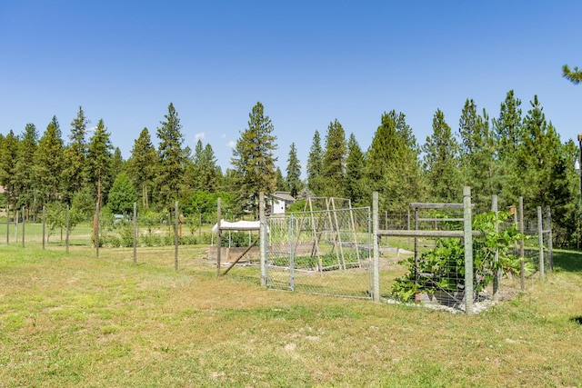 view of yard with a rural view