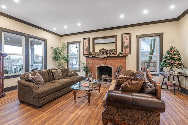 living room with ornamental molding, hardwood / wood-style floors, and a fireplace