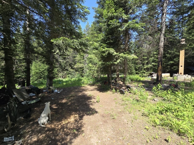 4886 Getna Way, Springdale, WA 99173