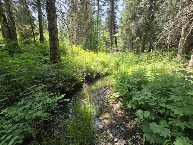 4886 Getna Way, Springdale, WA 99173