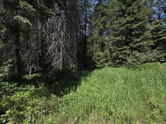 4886 Getna Way, Springdale, WA 99173