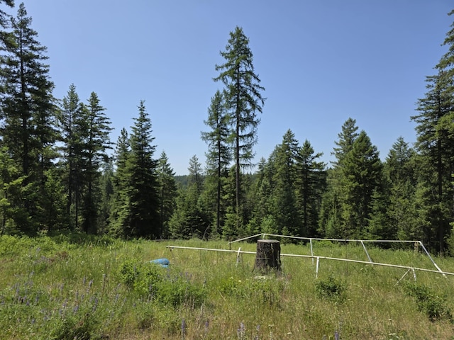 4886 Getna Way, Springdale, WA 99173