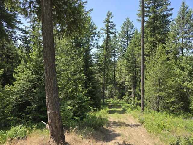 4886 Getna Way, Springdale, WA 99173