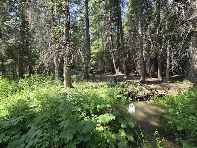 4886 Getna Way, Springdale, WA 99173