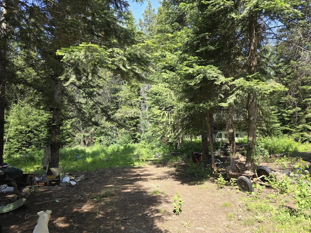 4886 Getna Way, Springdale, WA 99173