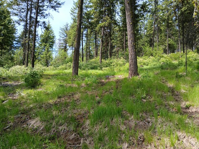 2705 Red Tail Way, Colville, WA 99114 - photo 71
