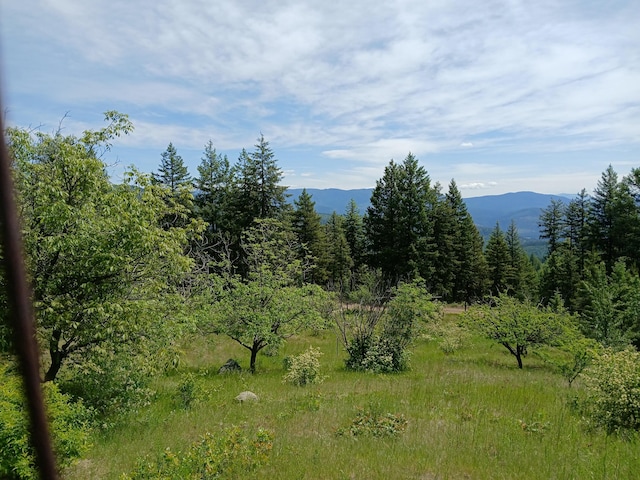 2705 Red Tail Way, Colville, WA 99114 - photo 59