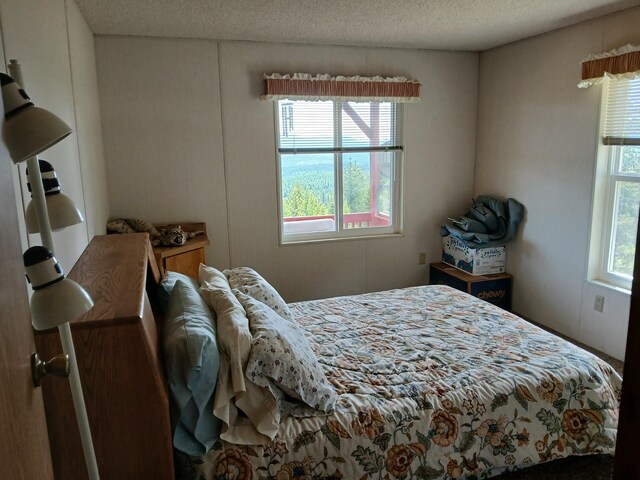 2705 Red Tail Way, Colville, WA 99114 - photo 25