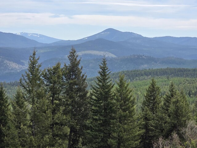 2705 Red Tail Way, Colville, WA 99114 - photo 52