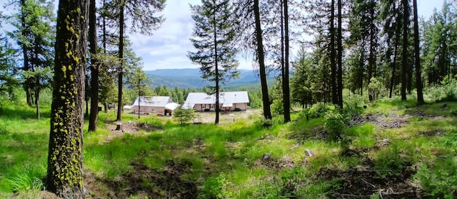 2705 Red Tail Way, Colville, WA 99114 - photo 1