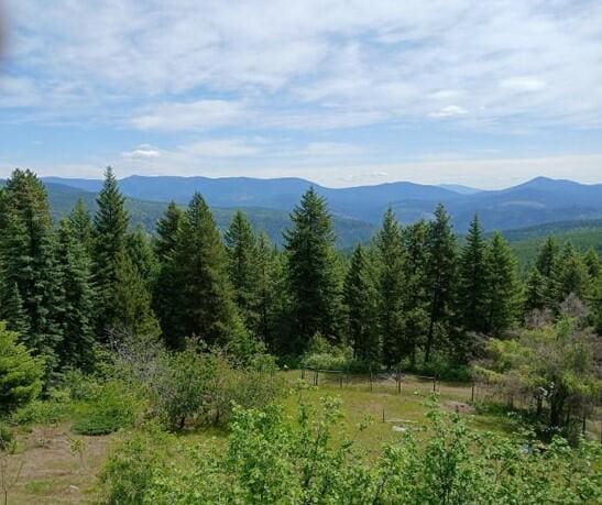 2705 Red Tail Way, Colville, WA 99114 - photo 3