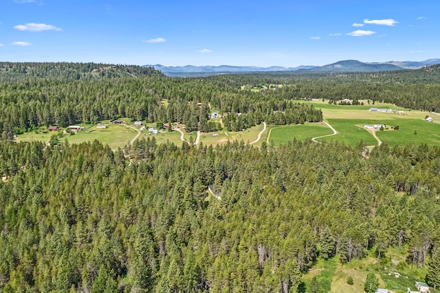 4051 Springdale Hunters Rd, Springdale, WA 99173 - photo 41