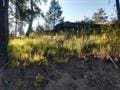 432 Quartz Rd, Newport, WA 99156 - photo 20