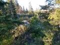 432 Quartz Rd, Newport, WA 99156 - photo 44
